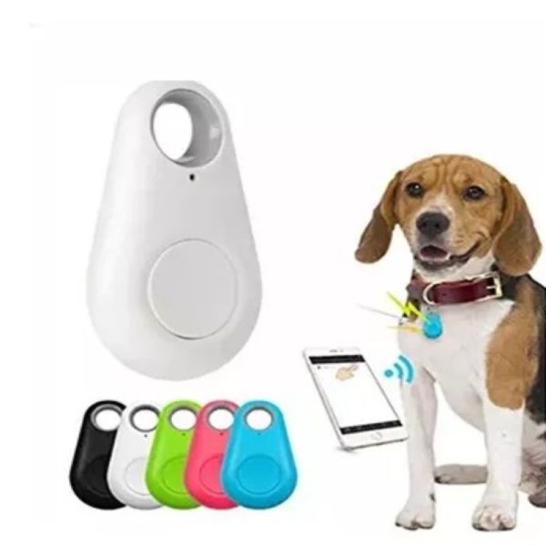 CHIP GPS PARA MASCOTAS